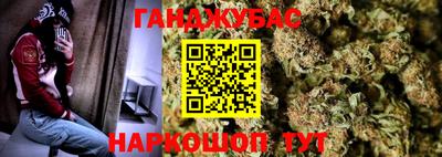 прущие грибы Апшеронск