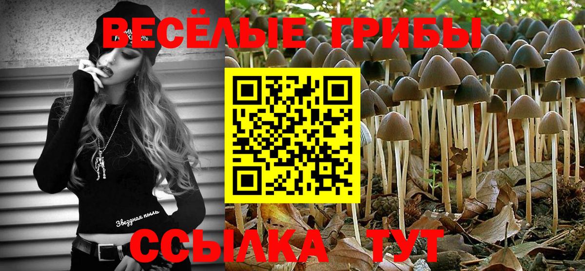 Галлюциногенные грибы GOLDEN TEACHER  Вход с VPN  Абинск 
